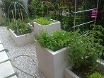 zelenjavno dišavni vrt v koritih